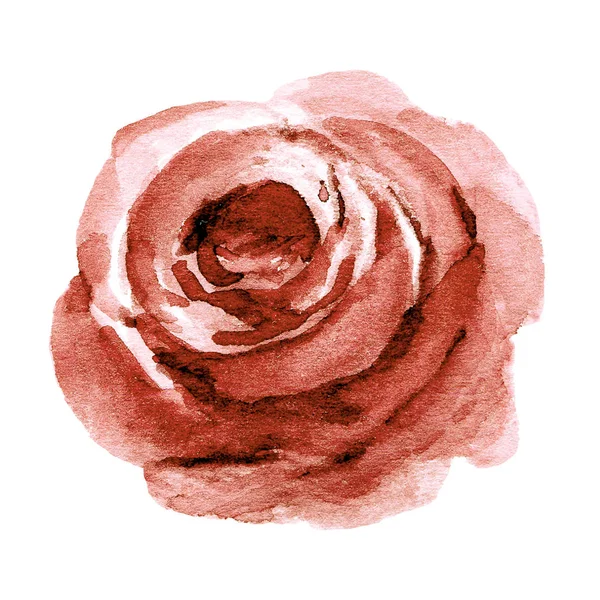 Ruční Malování Květiny Bílém Pozadí Akvarel Květinové Umění Koncept — Stock fotografie