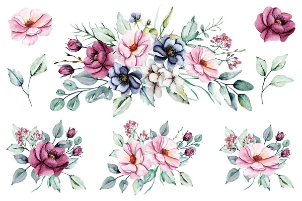 装飾花セット水彩画のデザイン — ストック写真