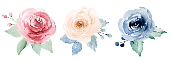 Set of watercolor floral drawing, vintage decoration