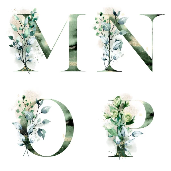 Alphabet Floral Lettres Aquarelle Créative Art Peinture — Photo