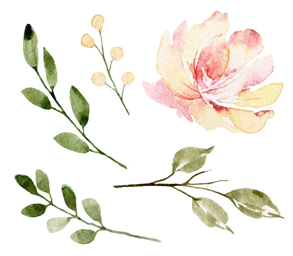 Set Watercolor Floral Drawing Vintage Decoration — Stock Photo, Image