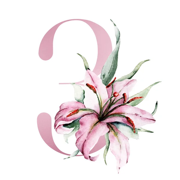 Δημιουργικός Αριθμός Λουλούδια Και Φύλλα Ζωγραφισμένα Στο Χέρι Ακουαρέλα — Φωτογραφία Αρχείου