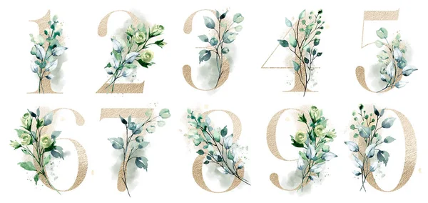 Numbers Set Watercolor Art Painting Elements White Background — 스톡 사진