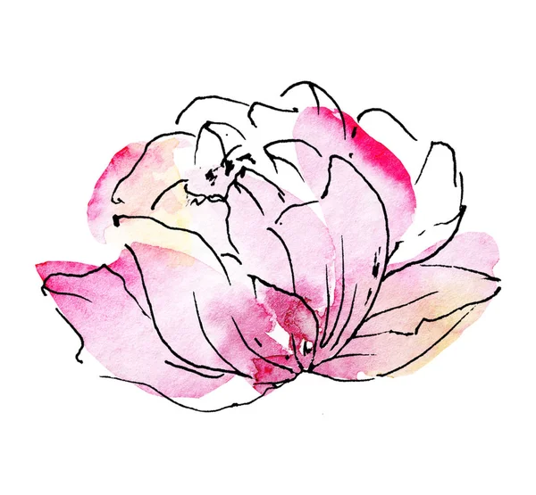 Floral Line Art Watercolor Painting Design Flower Hand Drawn Sketch — 스톡 사진