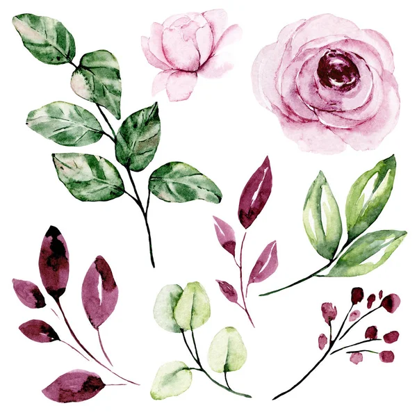 Set Watercolor Floral Drawing Vintage Decoration — 스톡 사진