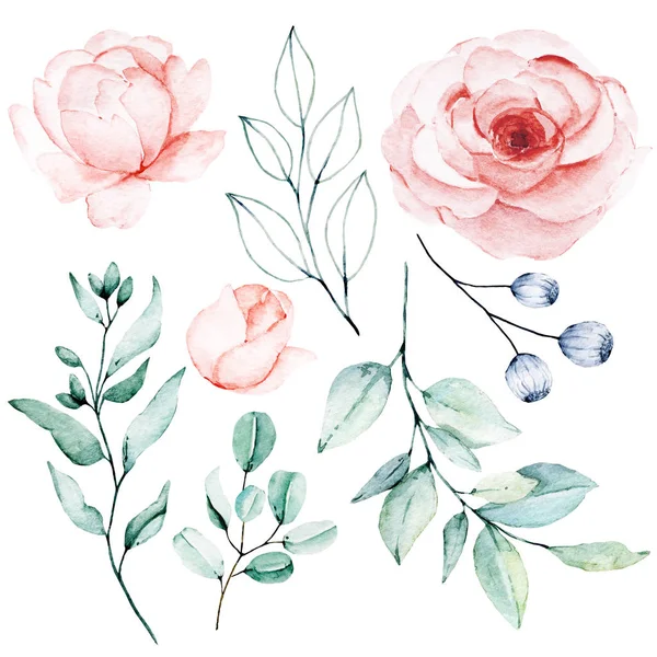 Set of watercolor floral drawing, vintage decoration