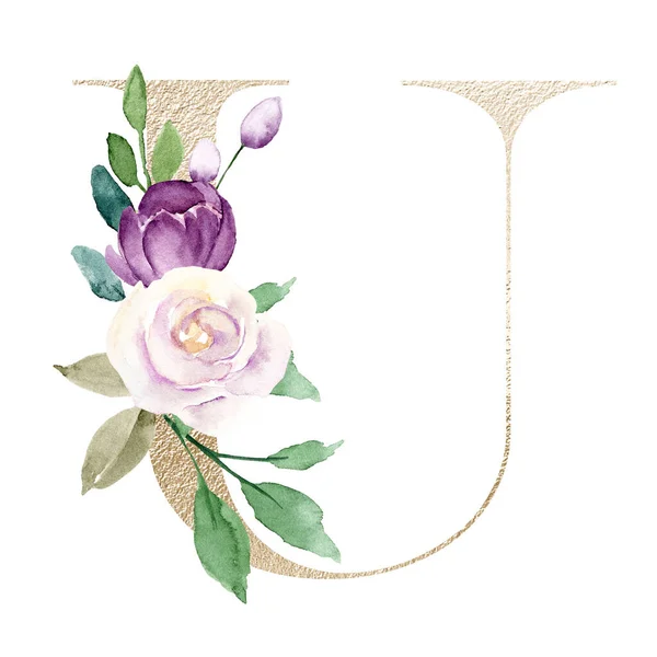 水彩画 花と葉の文字U 花のアルファベット — ストック写真