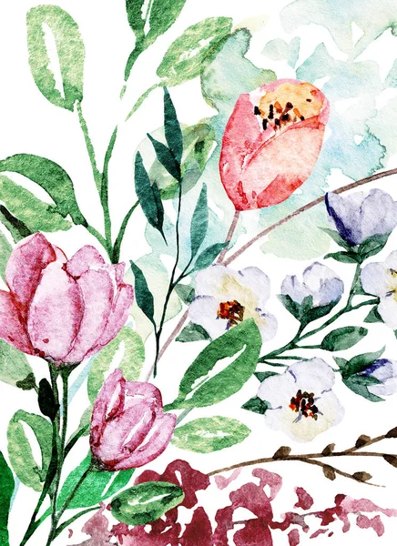 Beautiful Floral Composition Watercolor Painted Flowers — Stock Photo, Image