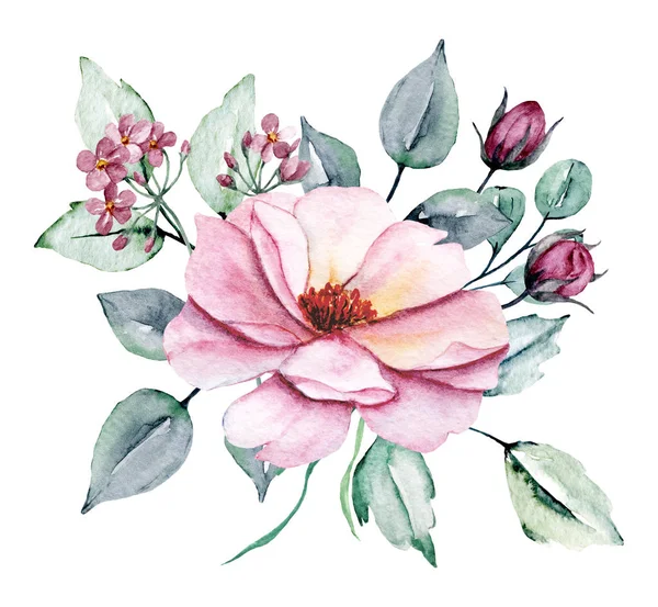 Hand Painting Flower White Background Watercolor Floral Art Concept — 스톡 사진