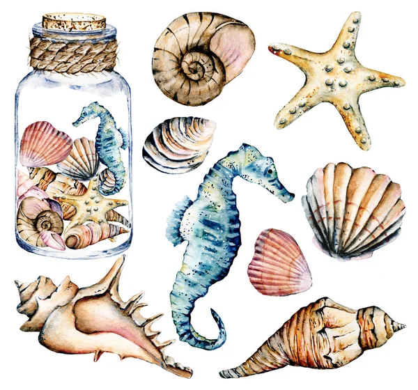 貝殻のセット 海の景色 水彩シーホースやヒトデなどの貝類 — ストック写真