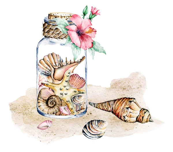 水彩画 海の星と貝の瓶 — ストック写真