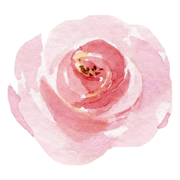  Beyaz arka planda el resmi, suluboya çiçek sanatı konsepti