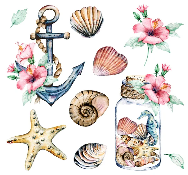 Marine Set Watercolor Seahorse Starfish Flowers Anchor Other Shells — Stock Photo, Image