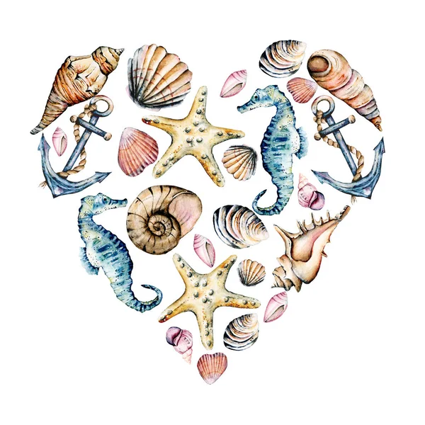 Seashells, marine scenery. Watercolor seahorses, starfishes and other shells in heart