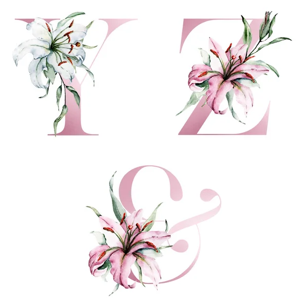花卉字母表 字母Y Z与Ampersand符号 创造性水彩画 — 图库照片