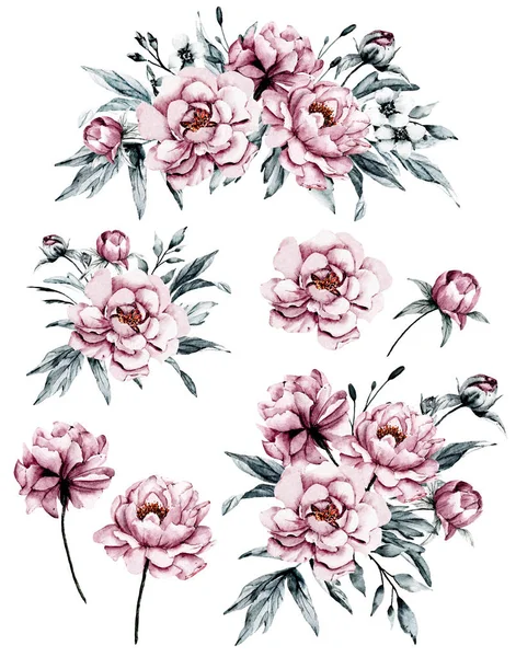 Floral Συλλογή Λουλούδια Ακουαρέλα Σετ Από Πολύχρωμα Ανθοδέσμες — Φωτογραφία Αρχείου