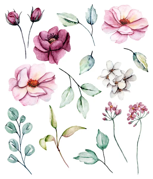 Conjunto Acuarela Dibujo Floral Decoración Vintage —  Fotos de Stock
