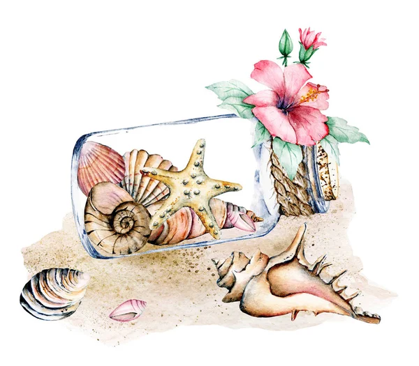 水彩画 有海星和贝壳的罐子 免版税图库图片
