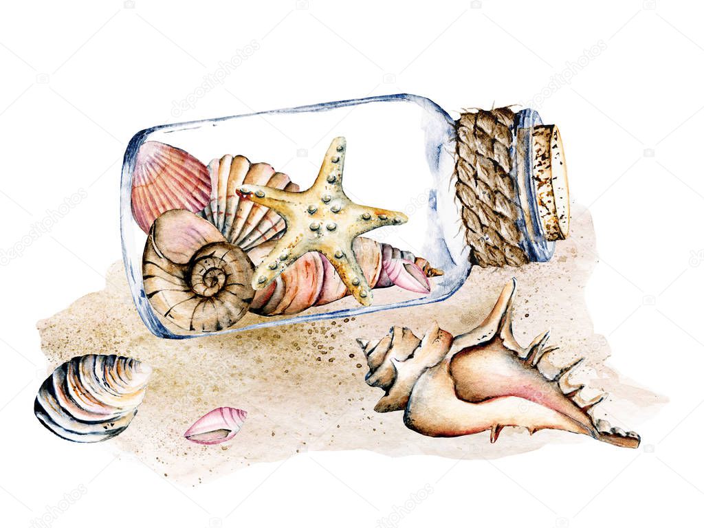watercolor art painting, jar with sea star and shells