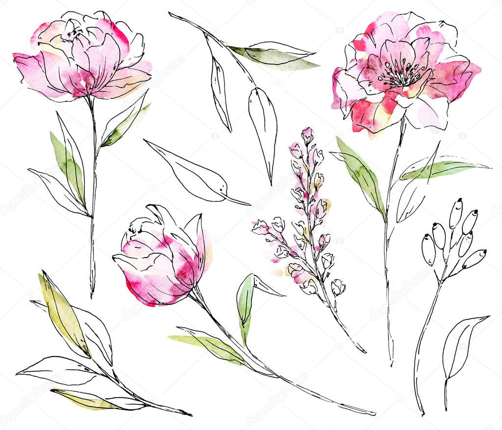 set of floral line art, hand painting sketch with watercolor elements