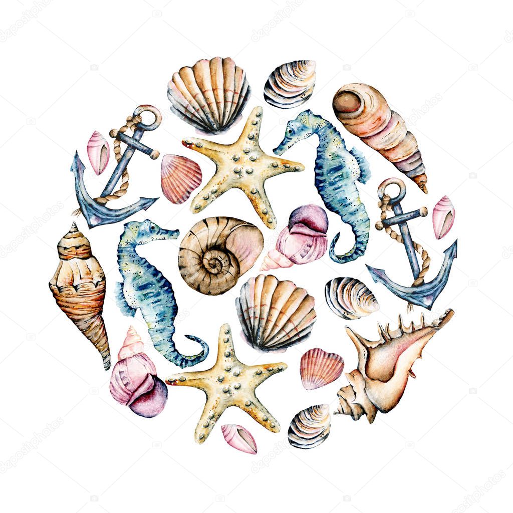 Seashells, marine scenery. Watercolor seahorses, starfishes and other shells in circle.