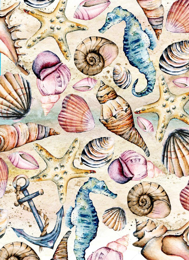 Seashells, marine paper, pattern. Watercolor seahorse, starfish and other shells. Beach design isolated on white background. Scenery hand drawing. Marine collection.