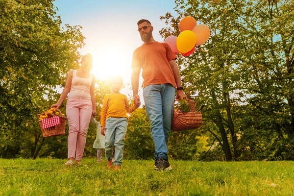 Família fazendo piquenique no campo — Fotografia de Stock