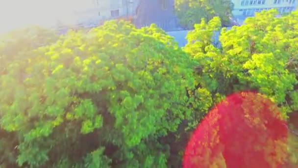 Yeşil Şehir Şehrin Hava Gösterisi — Stok video