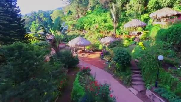 Drone Shot Hmong Doi Pui Hill Tribe Flower Garden Chiang — Vídeos de Stock