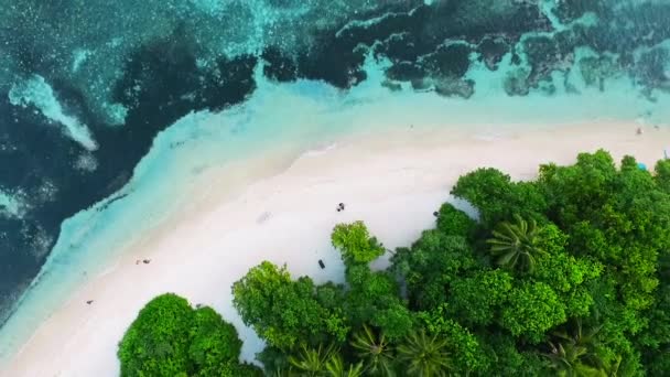 Maledivy Ostrovy Tropical Beach Aerial View — Stock video