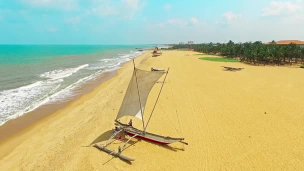 Vista Aérea Catamarã Praia Oceano Tropical Sri Lanka — Vídeo de Stock