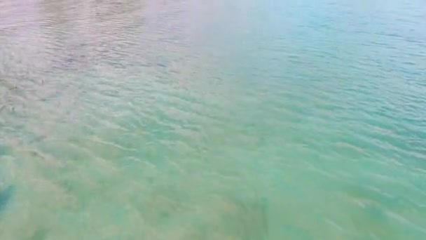 Повітряний Вид Тропічний Морський Пляж — стокове відео