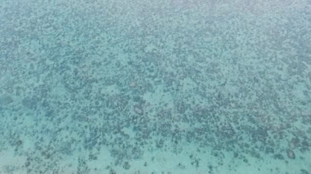 Vista Aérea Playa Tropical Oculta — Vídeo de stock