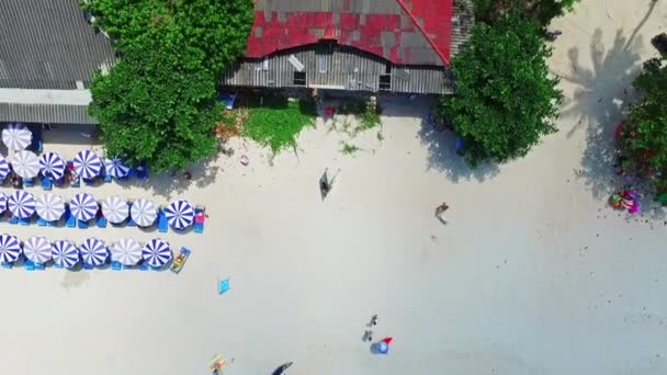 Вид Воздуха Пляж Tropical Ocean Holiday Beach Стоковый Видеоролик