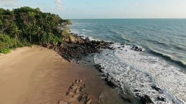 Onde Oceaniche Sulla Spiaggia — Video Stock