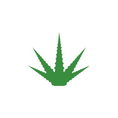 Aloe vera grafik tasarım şablonu izole edildi