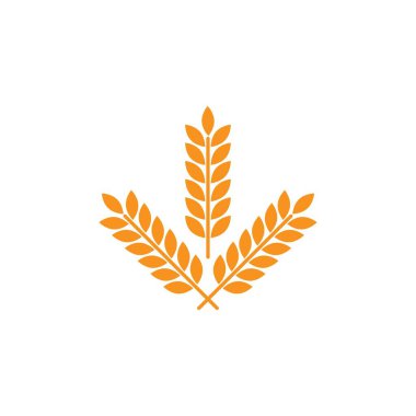 Tarım buğday vektör grafik şablonu izole edildi