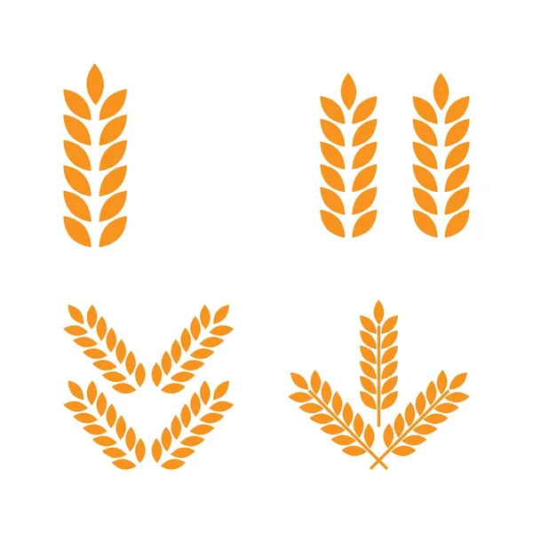 農業用小麦ベクトルグラフィックデザインテンプレート分離 — ストックベクタ