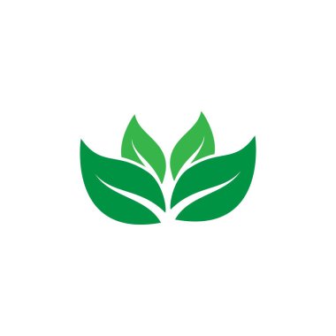 Yeşil yaprak ekolojisi doğa element şablonu