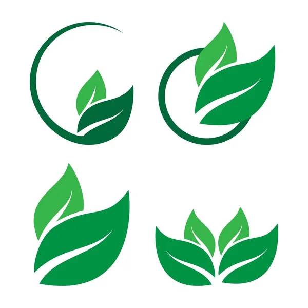 Ekologie Zelených Listů Příroda Element Vektor Šablona — Stockový vektor