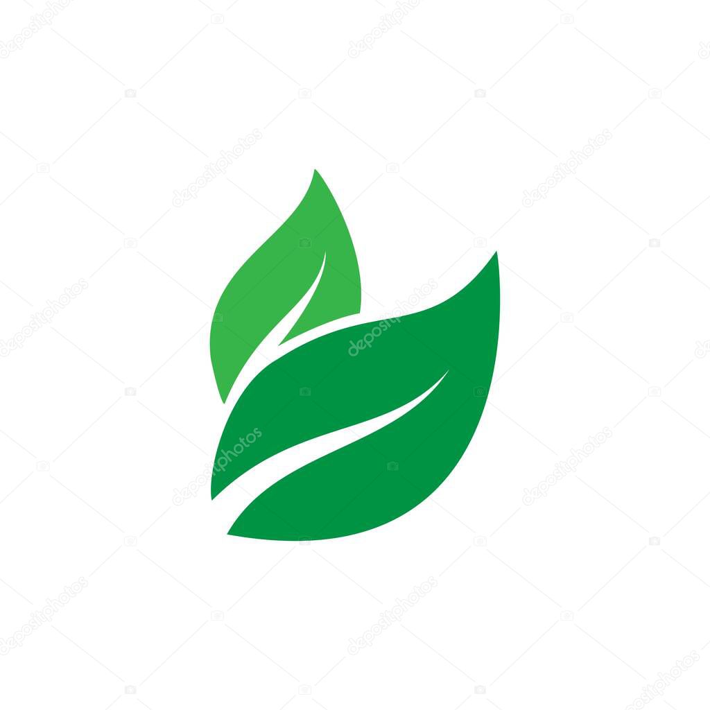 Green leaf ecology nature element vector template