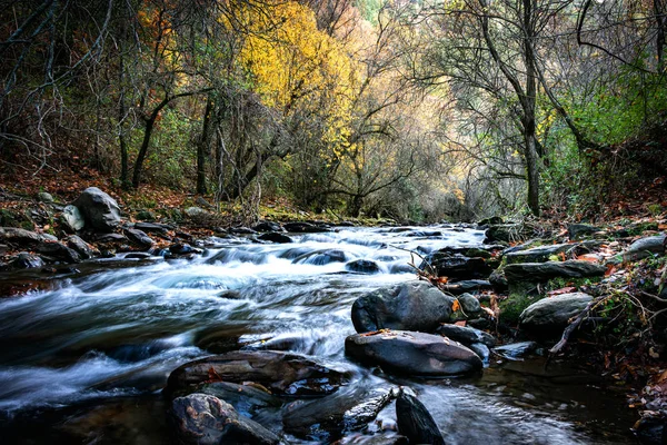 Rivière Genil Traverse Parc Sierra Nevada Espagne — Photo