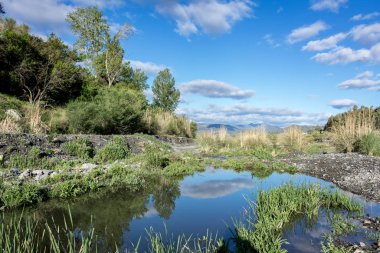 Sakin sularda yansımaları olan manzara