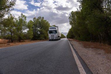 Dar ağaçlarla kaplı bir yolda soğutulmuş bir kamyon.