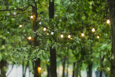 düğün günü güzel çiçekler ile