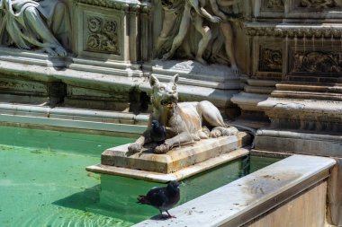 Siena 'daki Fonte Gaia (Dünya Çeşmesi)