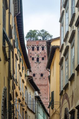 lucca Guinigi Kulesi