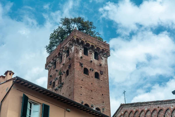 lucca Guinigi Kulesi