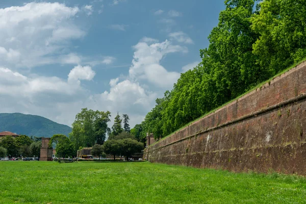 Las paredes de Lucca — Foto de Stock