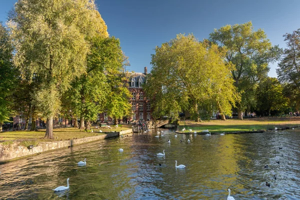 Lago Minnewater en Brujas —  Fotos de Stock